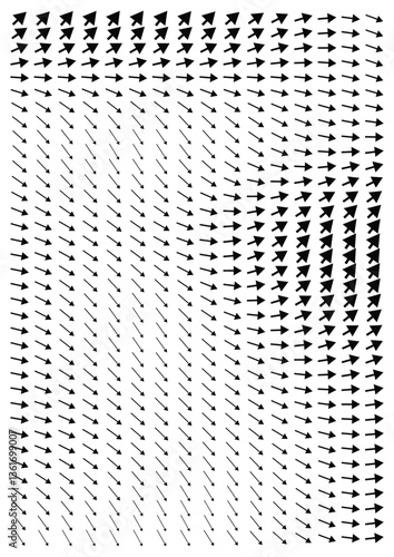 Vector Field