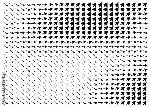 Vector Field