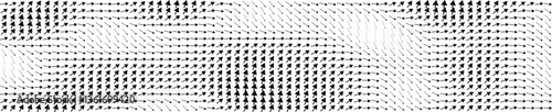 Vector Field
