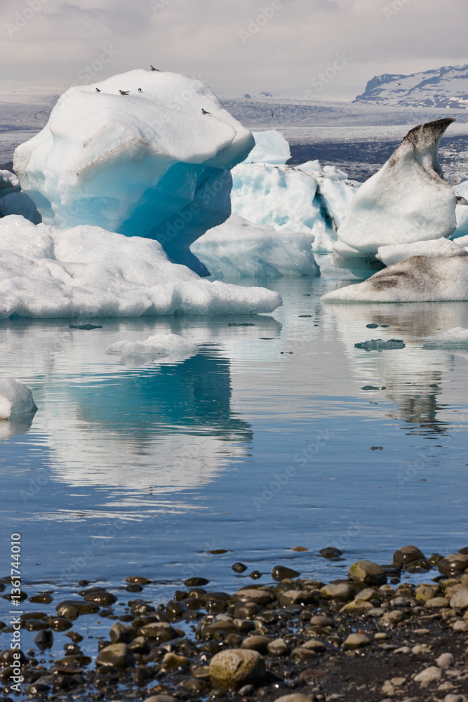 Fjallsjokull glacier and ice blocks. Southeast area. Icelandic white landscape