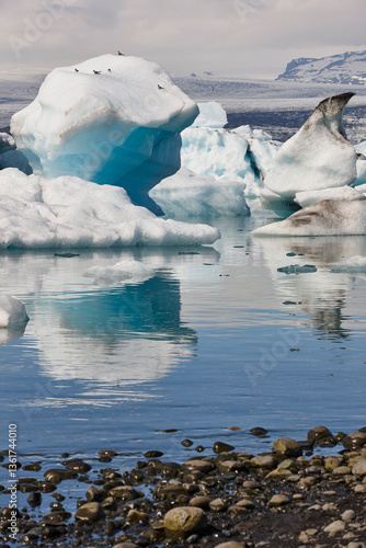 Obraz na płótnie Fjallsjokull glacier and ice blocks. Southeast area. Icelandic white landscape w salonie