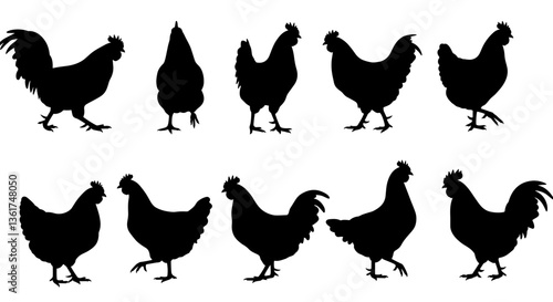 Silhouettes of various chickens and roosters.