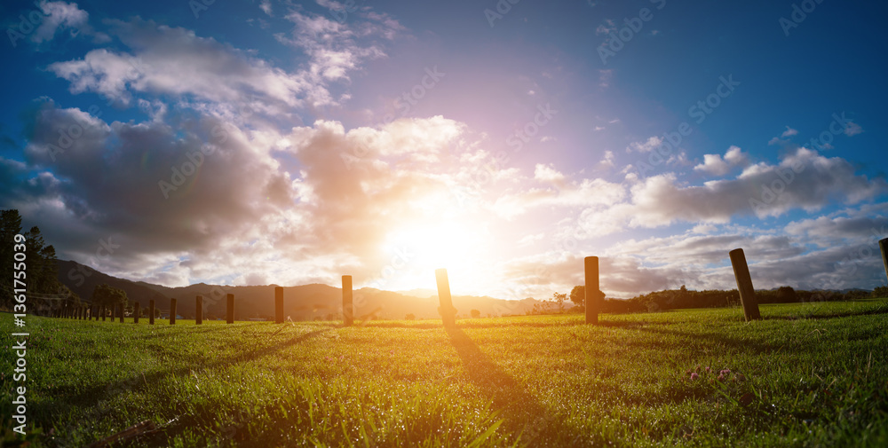 Fototapeta premium A low fence made of posts on a green meadow.