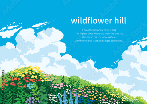 a hill full of clear skies and wild flowers
