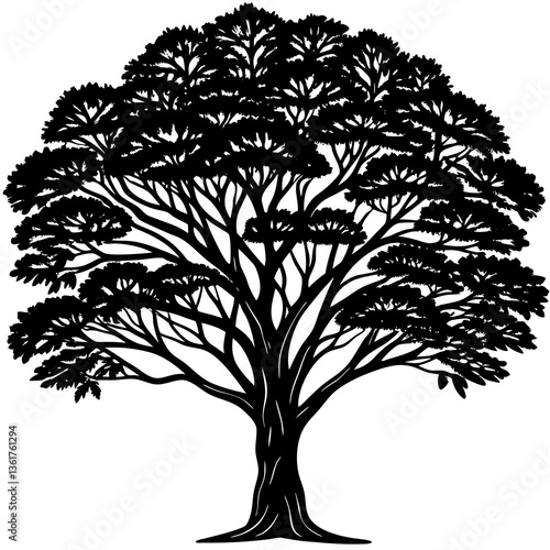 jacaranda tree silhouette vector 