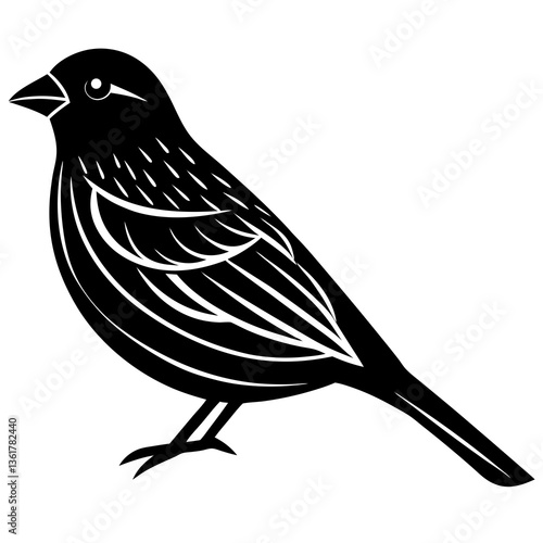 canary bird on a branch