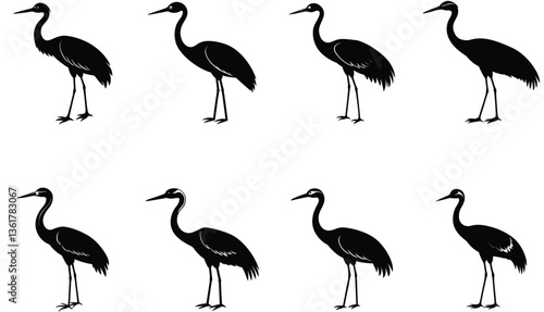Crane Bird Vector Shilhouette Bundle Set Collection