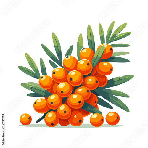 Vibrant orange sea buckthorn berries clustered with green leaves for natural decoration