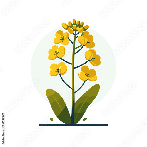 Yellow rapeseed flower with stem and leaves in minimal style. Perfect for agricultural illustrations and organic product branding.