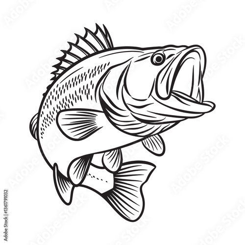 Vintage bass fish line art vector illustration isolated on white background