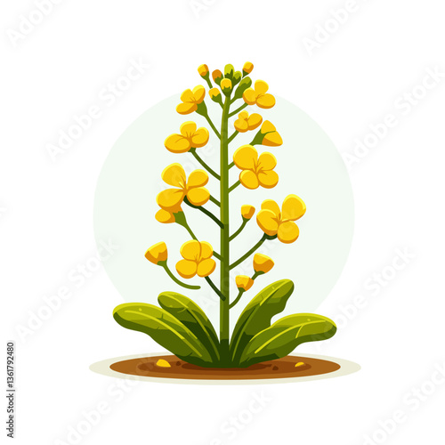 Yellow canola flower plant with green stem in botanical style. Perfect for agriculture illustrations, cooking oil production and spring wildflower themes.