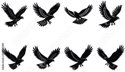 Hawk Bird Vector Shilhouette Bundle Set Collection