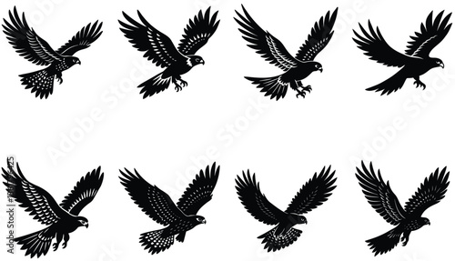 Hawk Bird Vector Shilhouette Bundle Set Collection