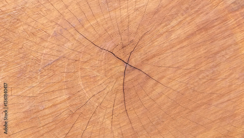 Wood plank to use as background and texture. Vector illustration.