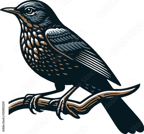 Thrush silhouette colour vector style with white background