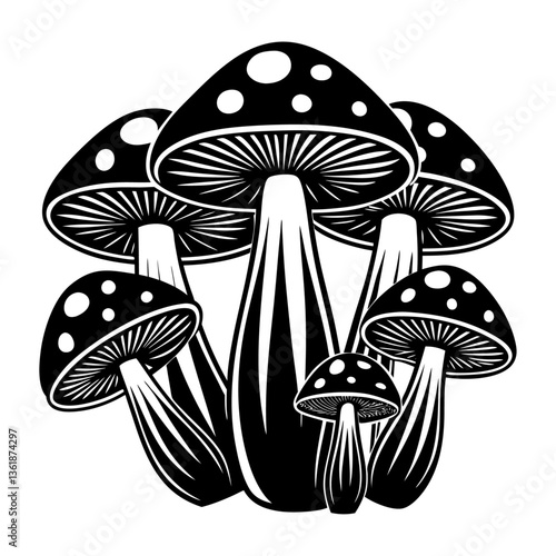 group of mushroom
