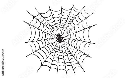 Spider and web on white