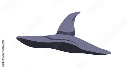 Wizard hat. Pointy wide brim conical headwear for magic costume, sorcery. Mys...