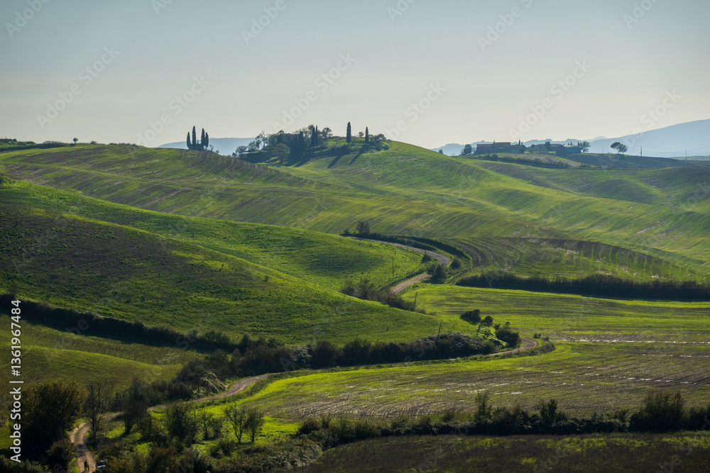 Fototapeta premium Rolling green hills under sunny sky with trees and a winding countryside road.