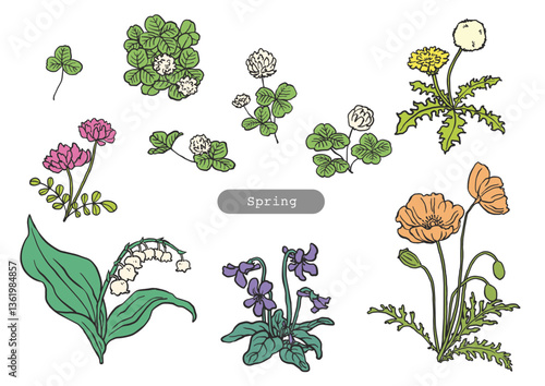 春の花の手書きカラーイラスト
