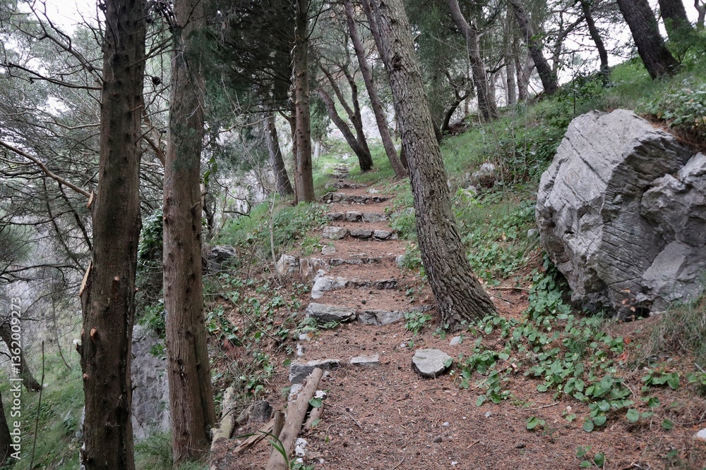 Pontone - Sentiero per il belvedere di Monte Aureo
