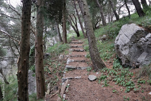 Obraz na płótnie Pontone - Sentiero per il belvedere di Monte Aureo w salonie