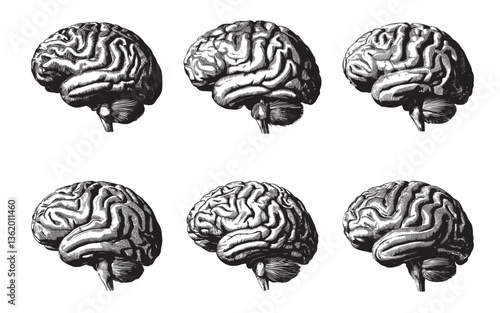 Silhouette brain icon set black and white.