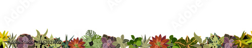 Potted house plants top view border. Horizontal banner, floral overlay backdrop. Botanical colorful cartoon style hand drawn flat vector illustration isolated