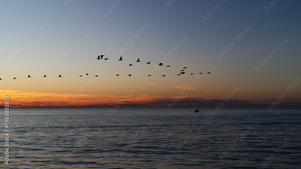 Stunning ocean sunset with birds in colorful sky, serene atmosphere. Twilight signals end of day. Stunning ocean sunset with birds in colorful sky, serene atmosphere. Twilight signals end of day.