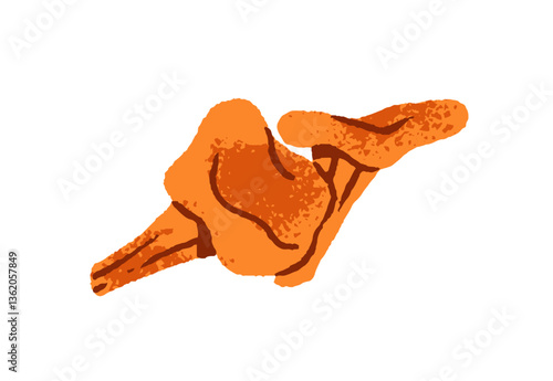 Icon of golden chanterelles. Edible mushrooms, orange boletes, raw boletus, fungus for eating. Healthy organic food, forest harvest. Flat isolated hand drawn vector illustration on white background