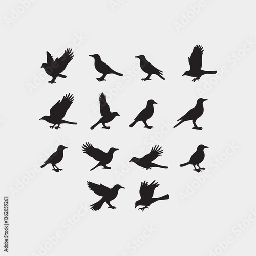 Crow Silhouette Variety Collection Vector Design.