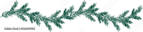 Christmas pine tree branch border