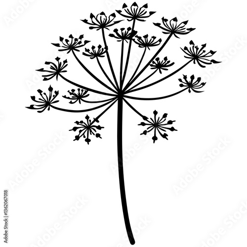 Elegant Queen Anne’s Lace flower vector, perfect for digital art, prints, and design projects.