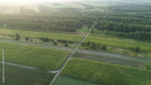 Outdoor dirt road through fields and trees