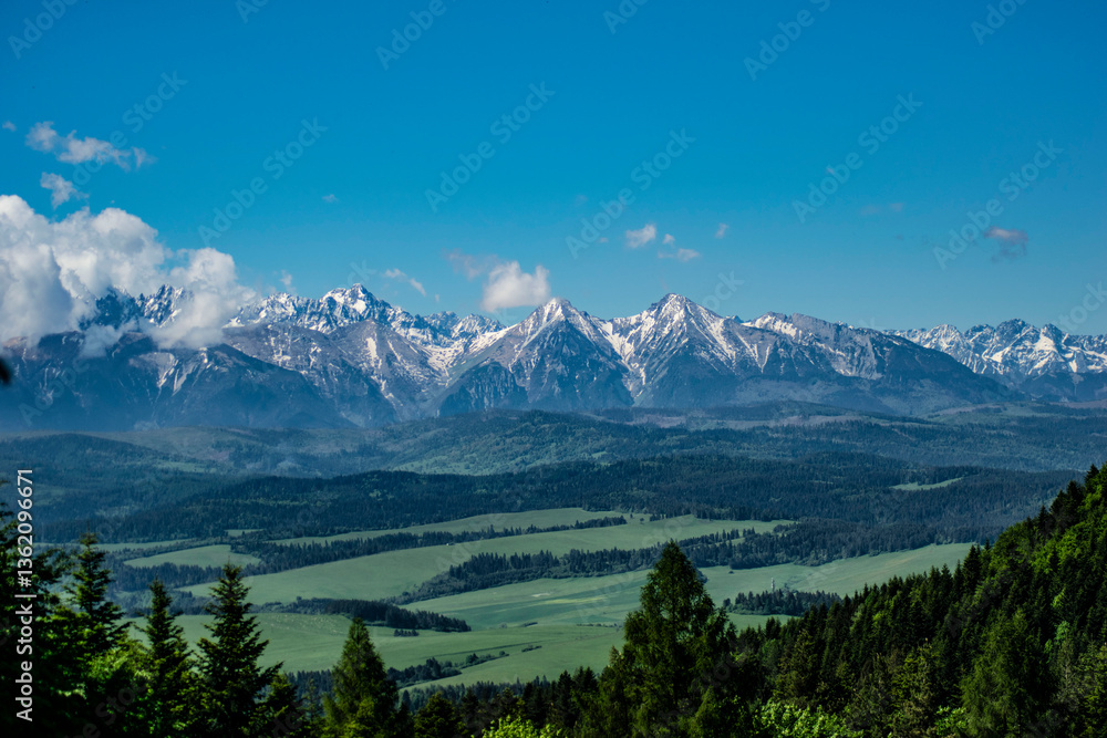 Obraz premium the snow-covered Tatras in their beautiful splendor, visible from the Pieniny Mountains