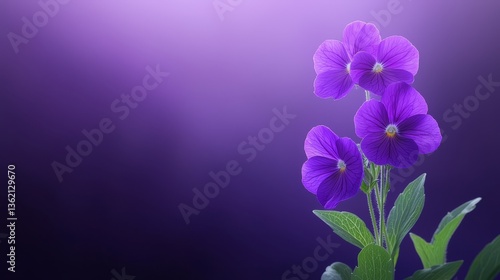 Elegant purple flowers wallpaper design showcasing beautiful array of blossoms