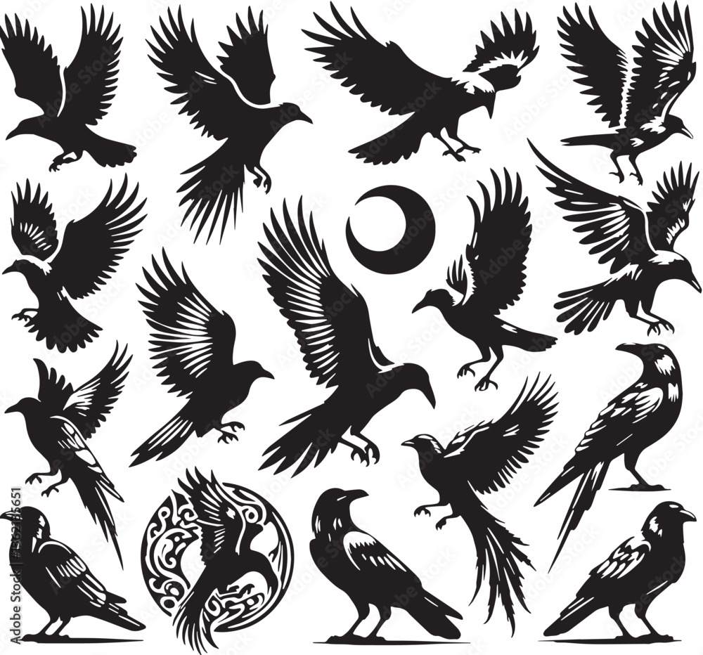 Obraz premium Black Color Crow Silhouette Vector Illustration, Solid White Background