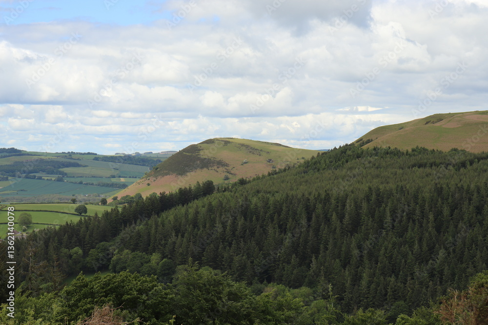 Naklejka premium Hergest Ridge in the UK summertime