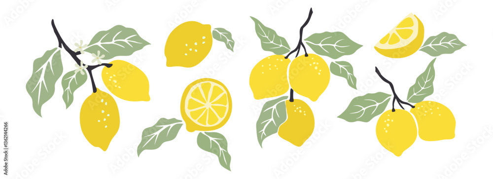 Obraz premium Hand drawn abstract lemons set. Collection of whole and cut lemons, branches, flowers and leaves vector illustrations isolated on white background. Fresh juicy citrus fruit
