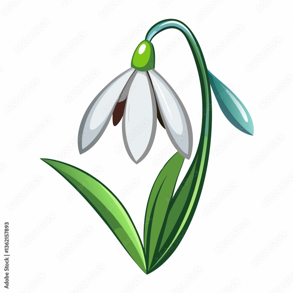 Obraz premium Snowdrop Flower Vector Graphic Design File - High-Quality Illustrations for Creative Projects
