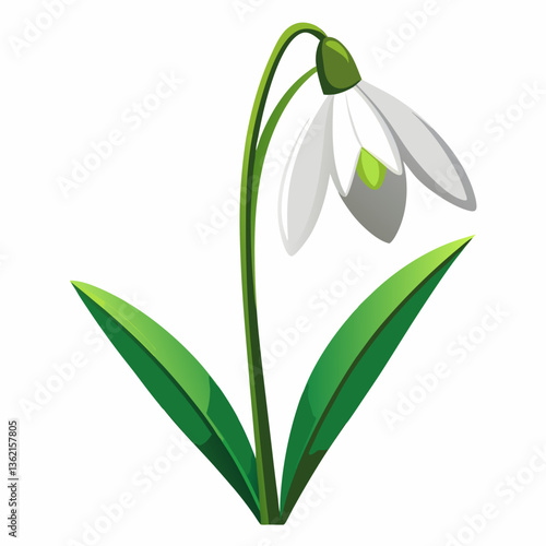 Snowdrop Flower Vector Graphic Design File - High-Quality Illustrations for Creative Projects