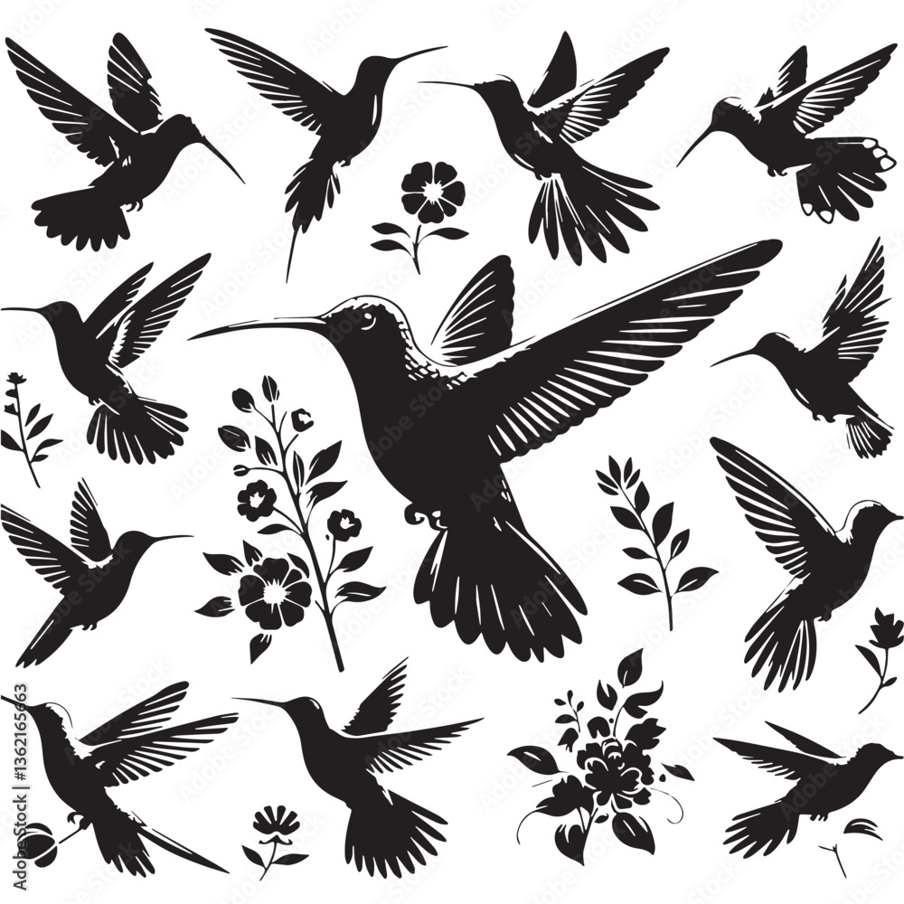 Fototapeta premium Black Color Hummingbird Silhouette Vector Illustration, Solid White Background