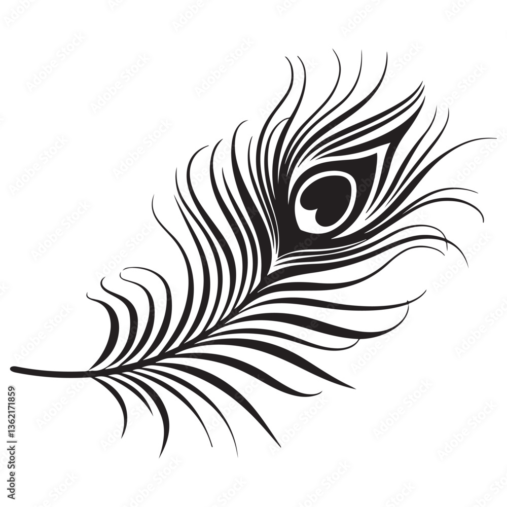 Obraz premium peacock feather black silhouette vector black white background.