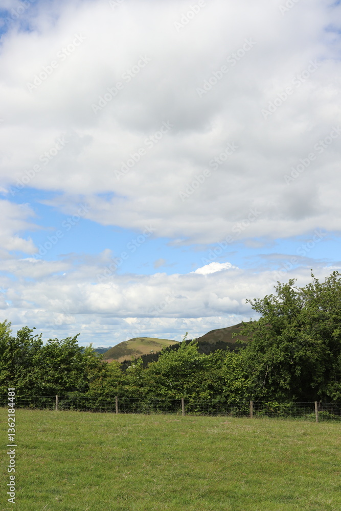 green field and blue sky green field and blue sky