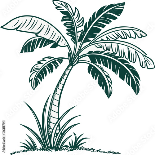 Tropical palm tree vector illustration with a beach silhouette