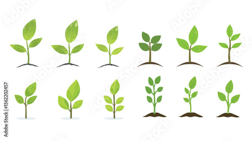 A fresh leaf sprout representing new growth, symbolizing the beauty of nature's renewal. This image captures the delicate and vibrant beginnings of a plant’s life cycle, reflecting the theme of growth