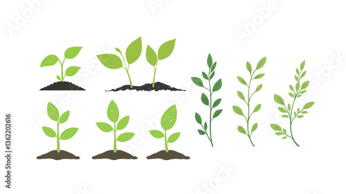 A fresh leaf sprout representing new growth, symbolizing the beauty of nature's renewal. This image captures the delicate and vibrant beginnings of a plant’s life cycle, reflecting the theme of growth