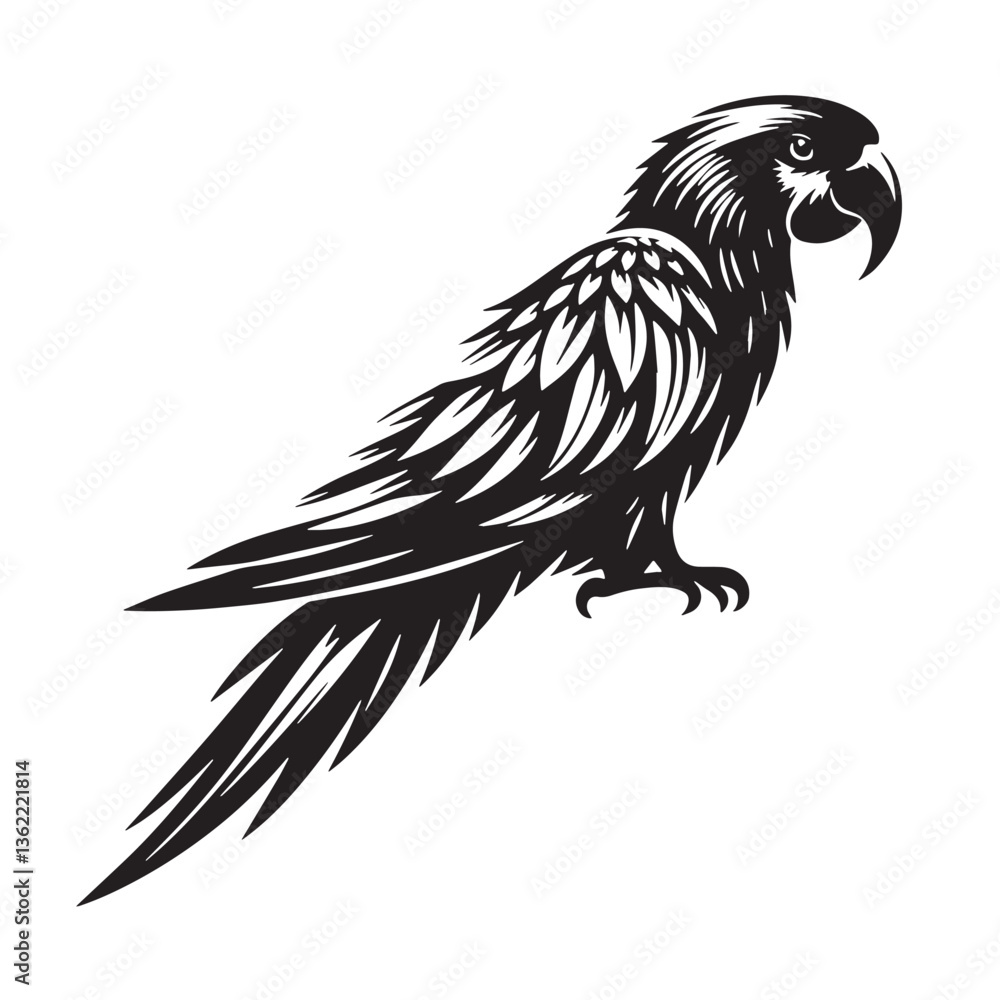 Obraz premium Black Color Parrot Silhouette Vector Illustration, Solid White Background
