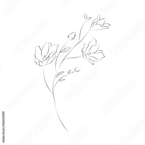 Line Drawing Botanical Wreath. Herbs and florals 12. Vector Illustration.