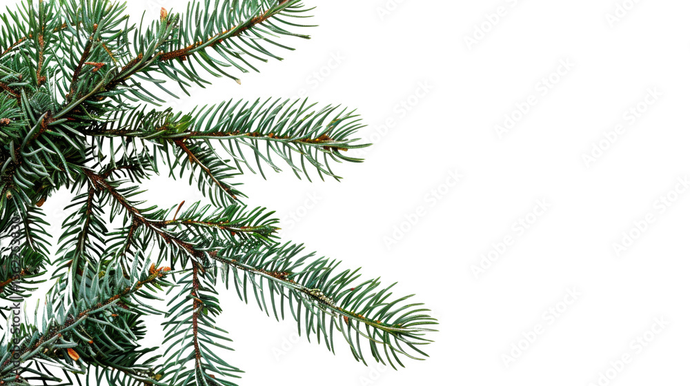 Evergreen Serenity: A close-up shot unveils the detailed texture of evergreen branches, symbolizing the resilience and timelessness of nature. Evergreen Serenity: A close-up shot unveils the detailed texture of evergreen branches, symbolizing the resilience and timelessness of nature.